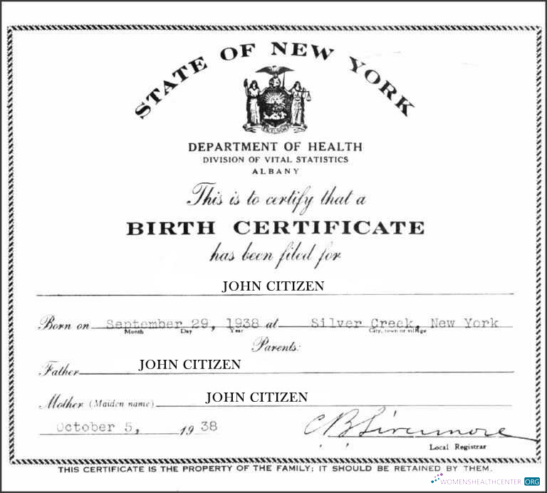 Download New York Department of Health Division of Vital Statistics birth certificate Photoshop template